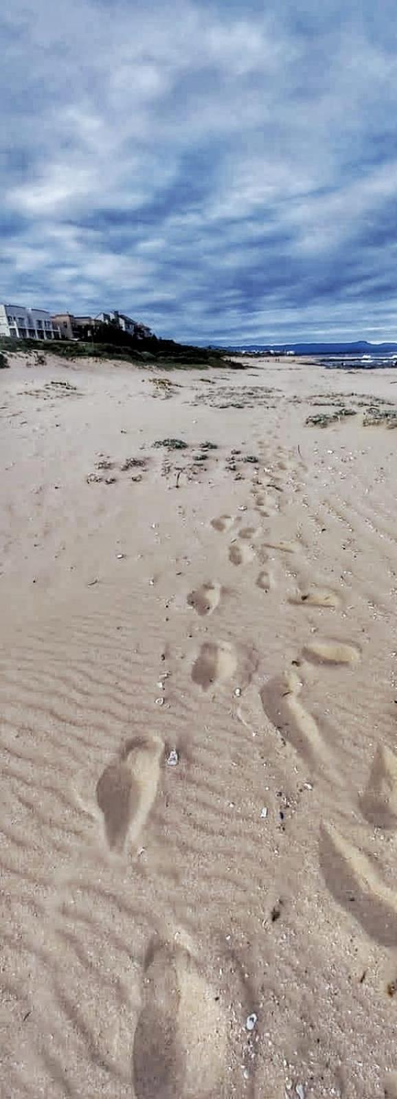 Sunset Sands Jeffreys Bay Bagian luar foto